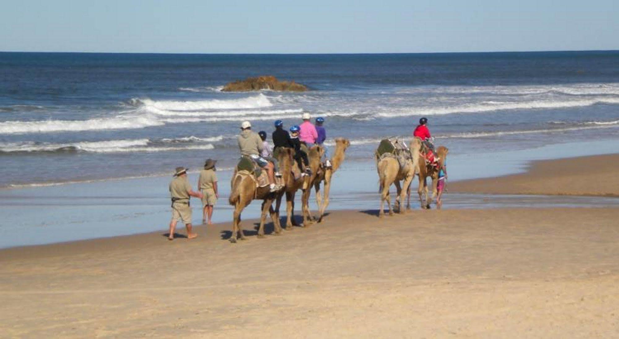 Flynns Beach Resort Port Macquarie Εξωτερικό φωτογραφία